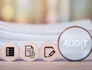 LLP-Audit2