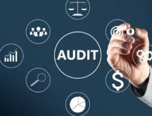 Statutory-Audit