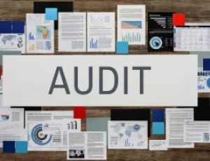 Tax-Audit